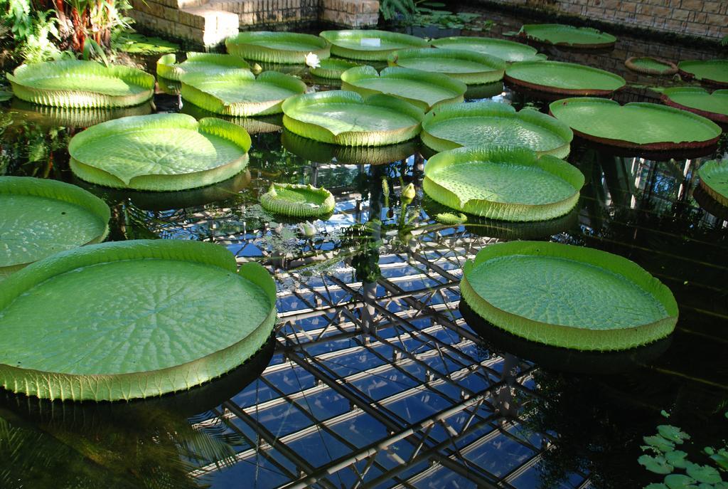 Yukurinaresort Okinawa Garden House Motobu Exteriör bild